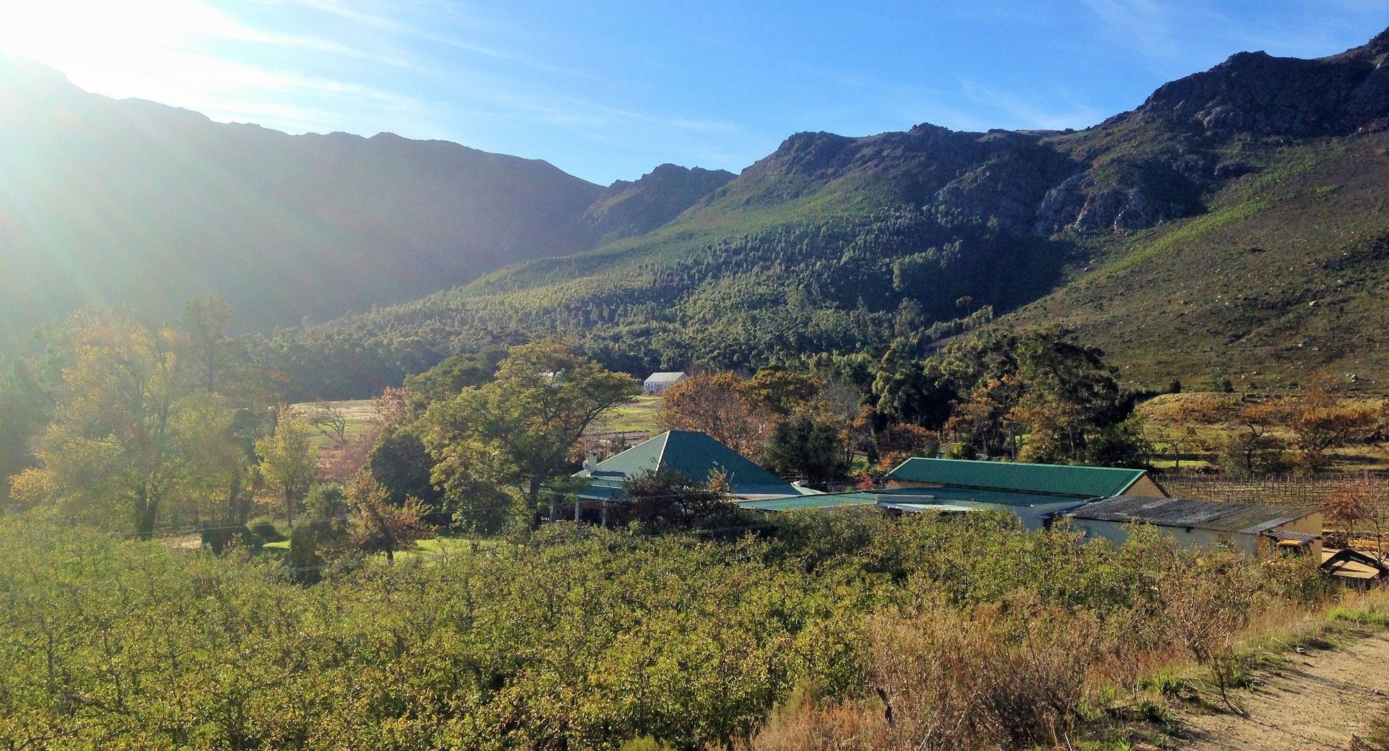 Royal Gala Cottage Franschhoek Buitenkant foto